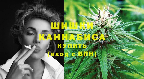 дживик Вязьма