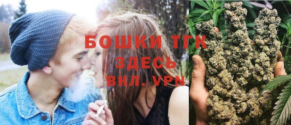 прущий лед Вяземский