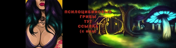 дживик Вязьма