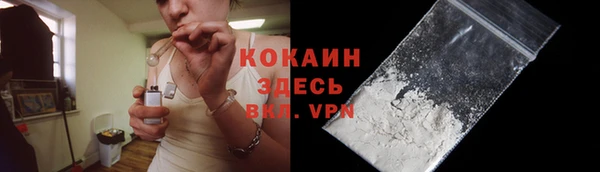 дживик Вязьма