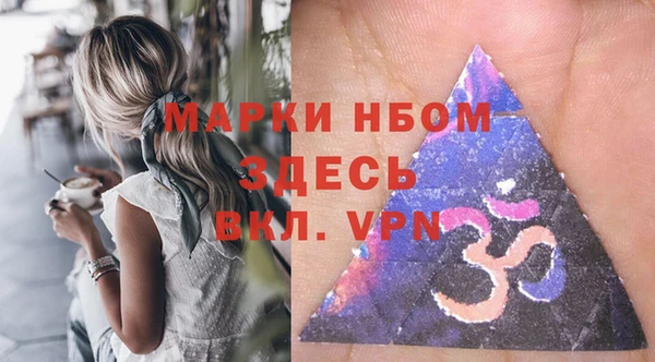 прущий лед Вяземский