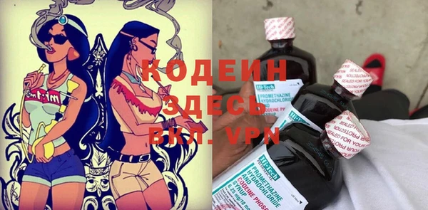 прущий лед Вяземский
