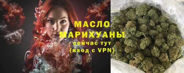 прущий лед Вяземский