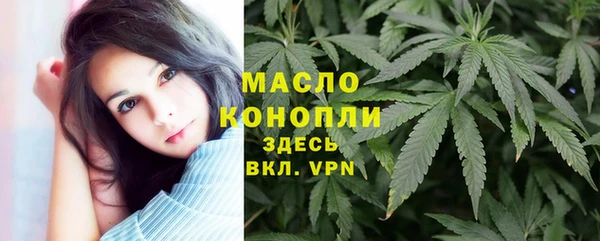 прущий лед Вяземский
