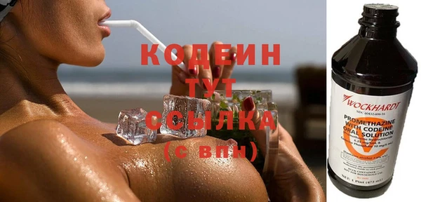 прущий лед Вяземский